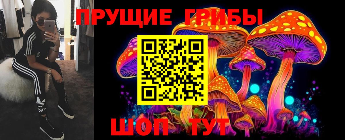 Галлюциногенные грибы прущие грибы  Галлюциногенные грибы мицелий  Елизово  наркота  Вход с VPN 